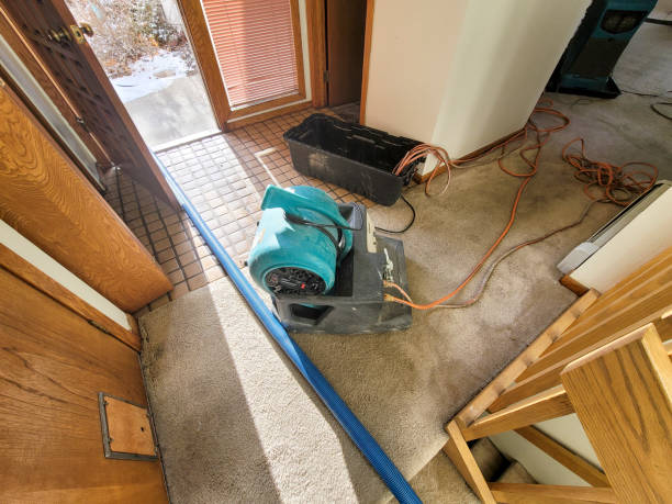 Best Water damage cleanup near me  in Tabor City, NC