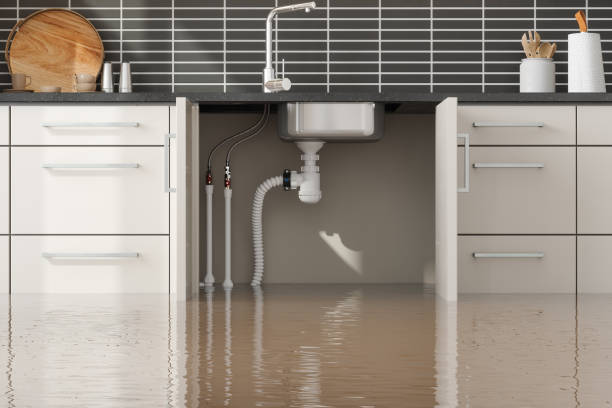  Tabor City, NC Water damage restoration Pros