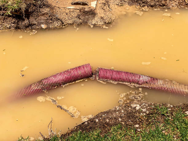 Best Basement water damage restoration  in Tabor City, NC